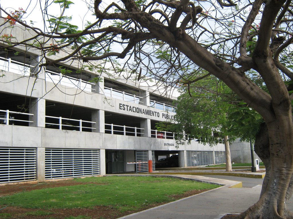 Estacionamiento Público (Avenida Itzaes x Calle 29 y 27) by José Manuel Repetto Menéndez