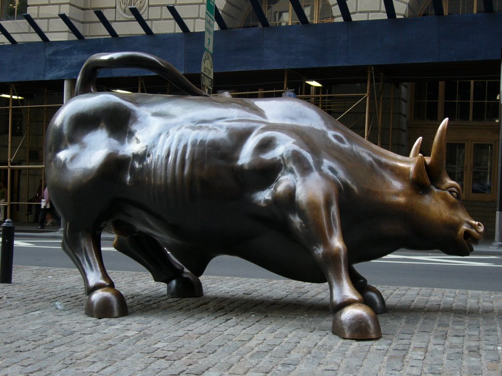 Charging Bull (Arturo DiModica) - a reference to the stock market by TwinCat