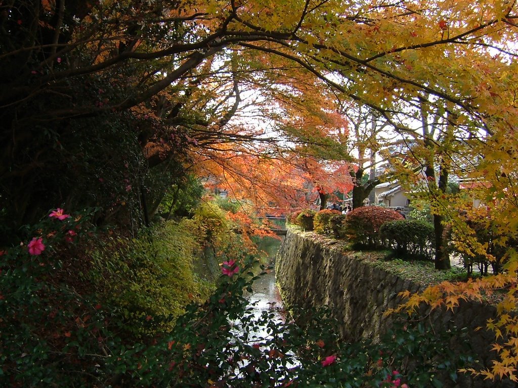 哲学の道 紅葉 by hassui