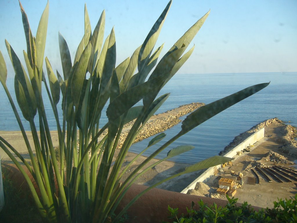 Vista del mar de torrevieja by txarli50