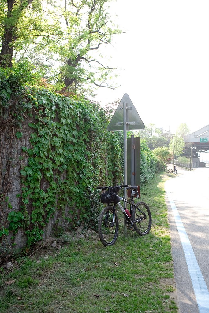 Roadside along .Han River by Harris. Oh