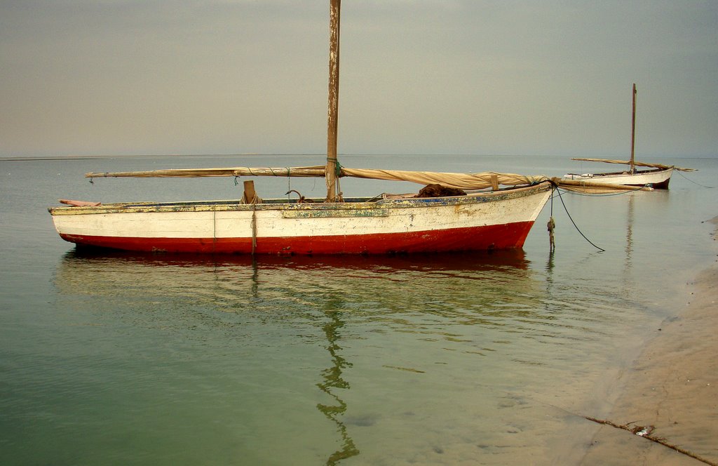 Banc d'Arguin 09 by Miguel Jaramillo