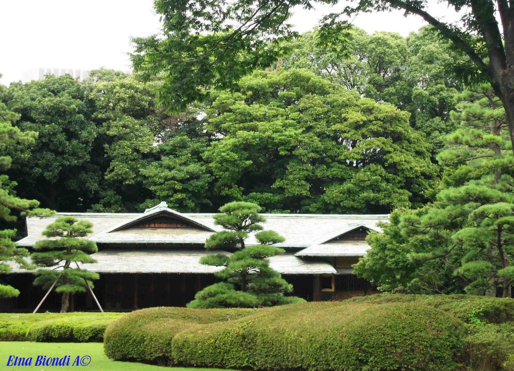 Japanase zen garden2 by Antonio Biondi