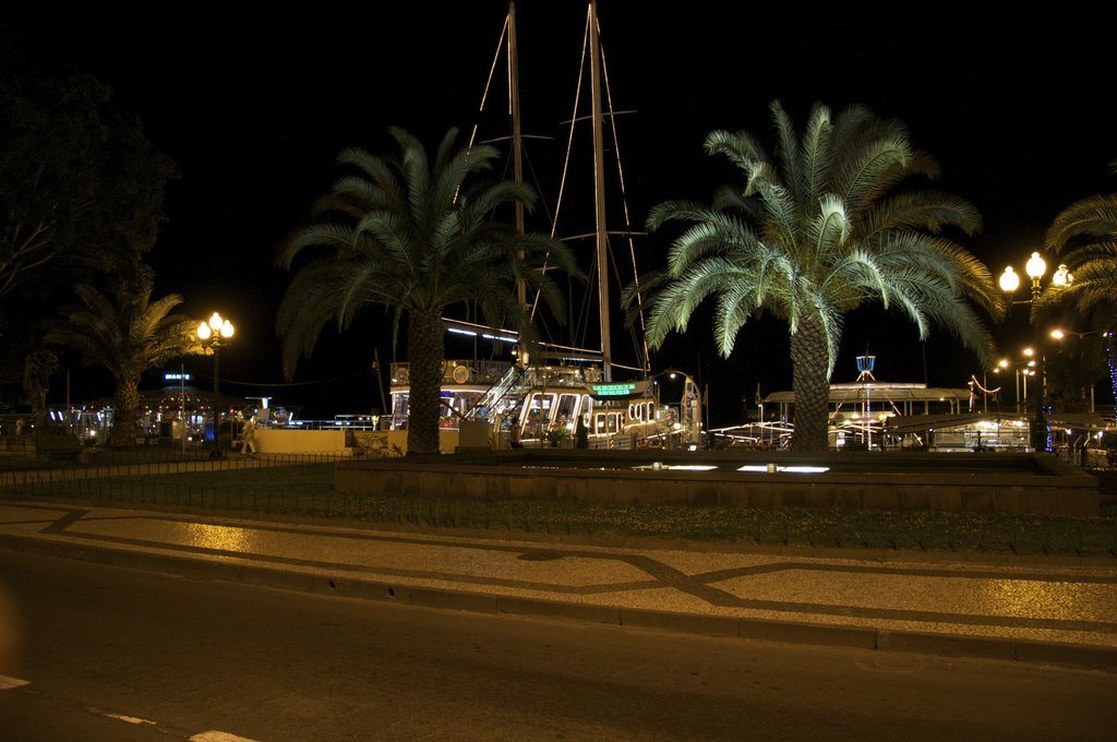 Fundchal Hafen by Peter Breuer