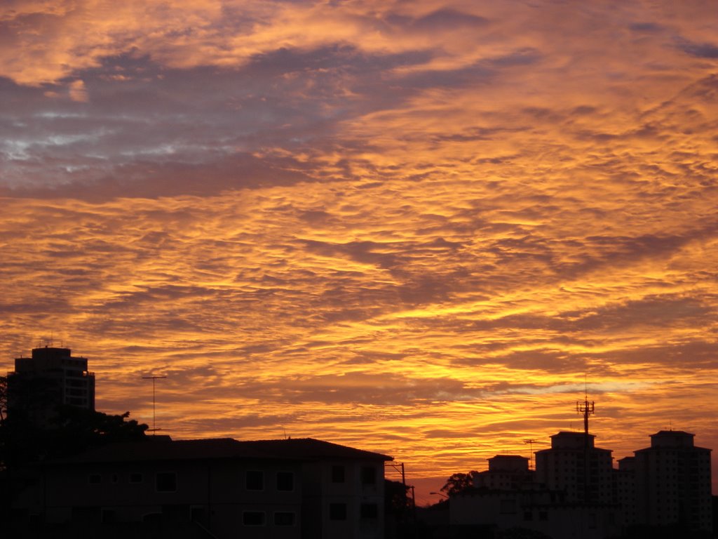 Nascer do sol - São Paulo, SP, Brasil. by André Bonacin