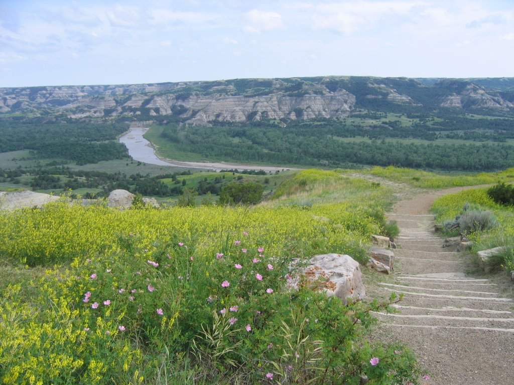 River Overlook by perkins4