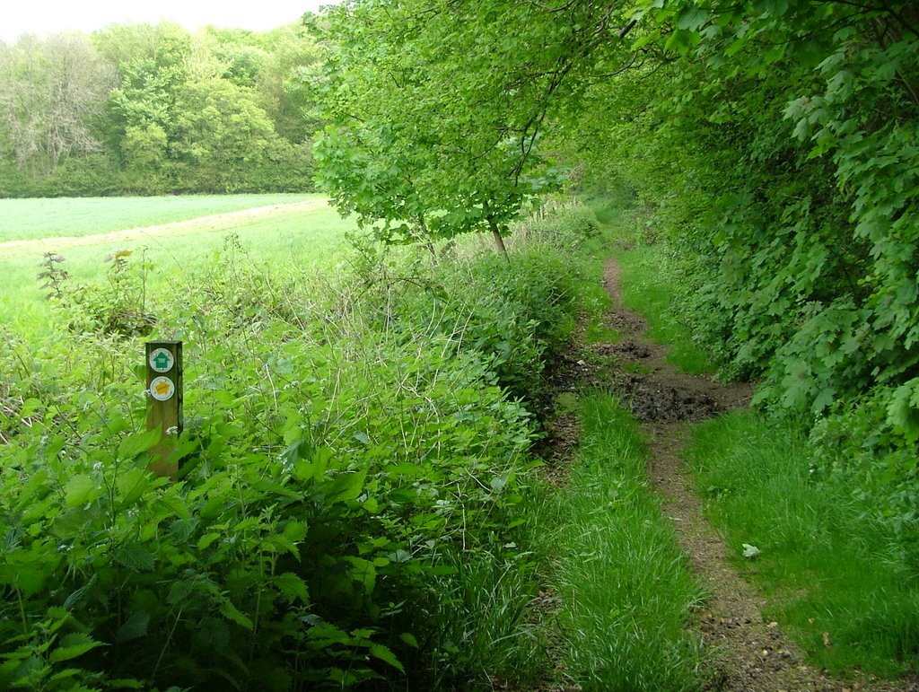 Oakley - Wayfarers walk by SBower