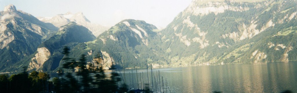 Baie d'Uri vue du train Paris Lugano by alain jacq