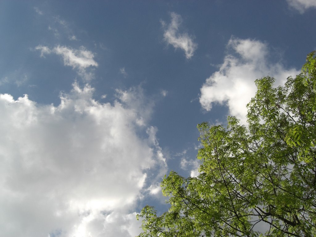 London - Sky by Francesco Alfonzi