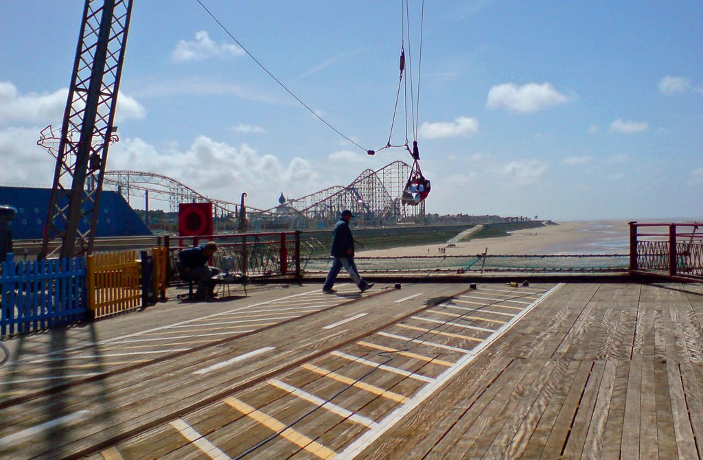 Bungee Swing, South Pier by Paula K