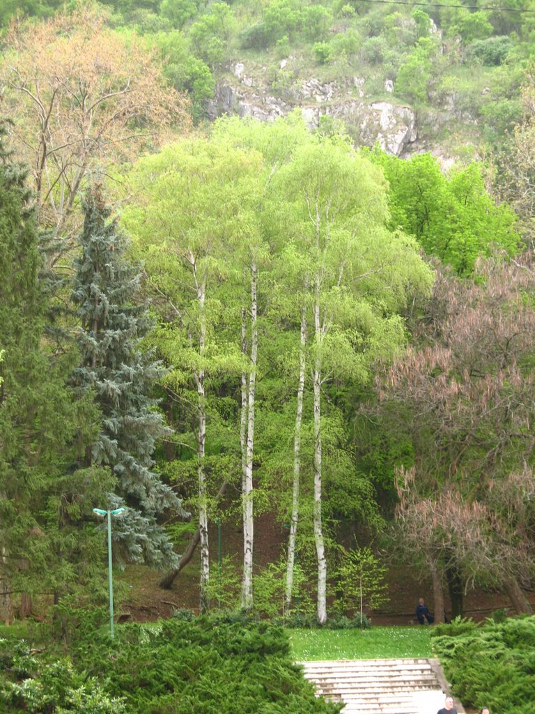 Priroda, Niška banja, Srbija by Dragan Antić