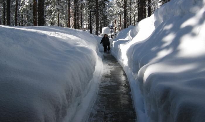 Shovel This! by Umiyama 海山