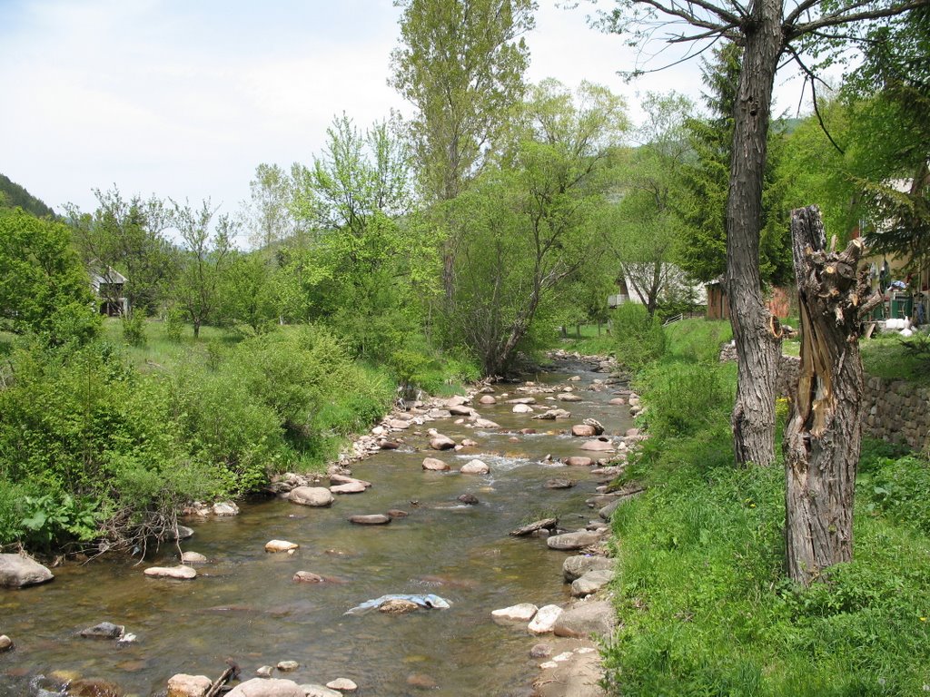 Stara planina, Vrelo, Pirot by Dragan Antić