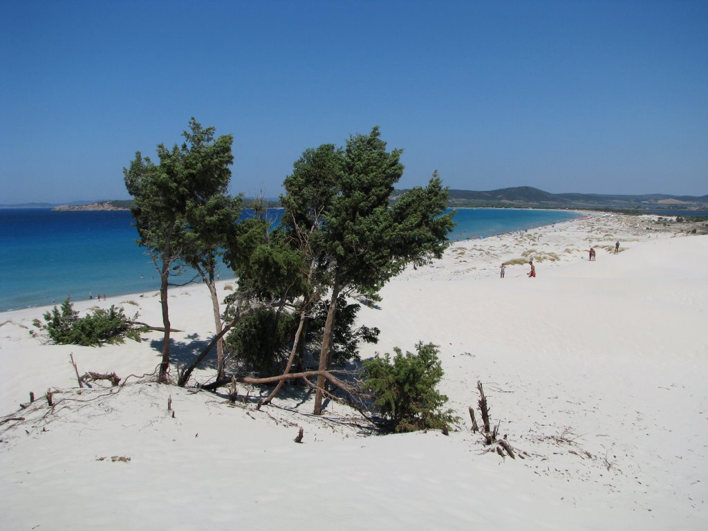 Porto Pino - Dune (territorio Teulada) - 2008 by Paolo & Mauro Mattie…