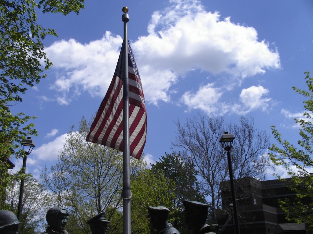 Flag at memorial by cp2drose