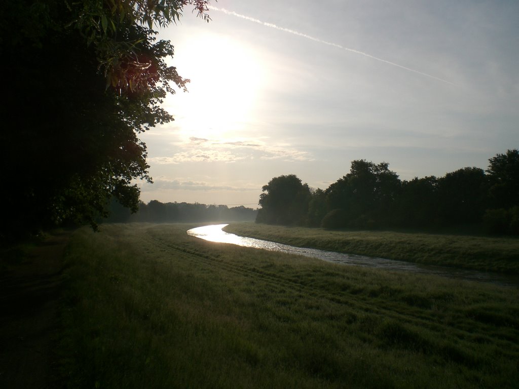 Luppe am Morgen by Daniel Küchler