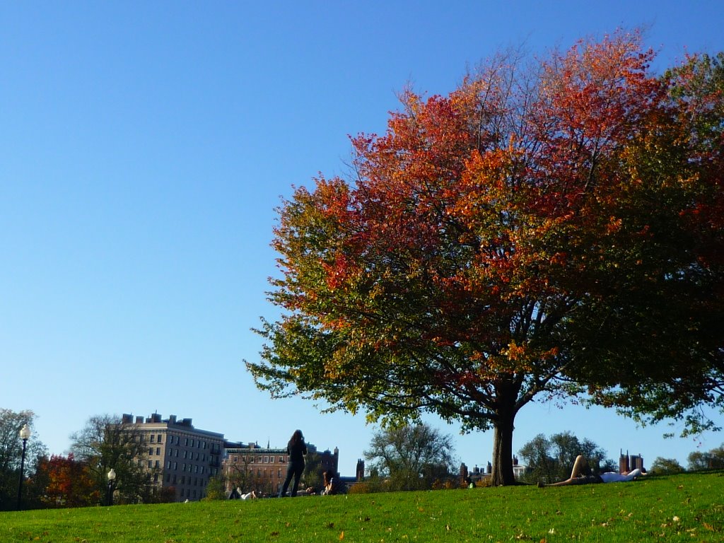 Boston Common by W Josh