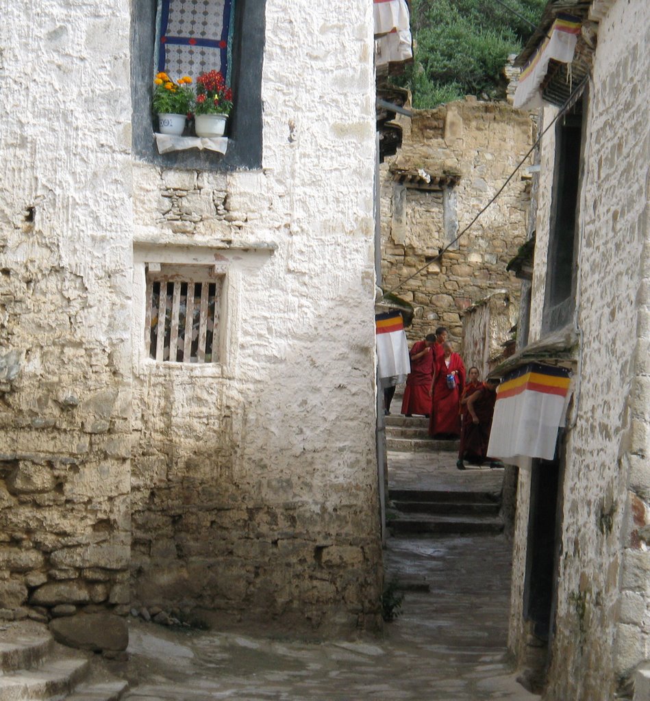 Drepung, monasterio by juanracastano