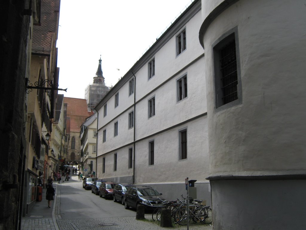 Collegium-Tübingen History by WEOSRA