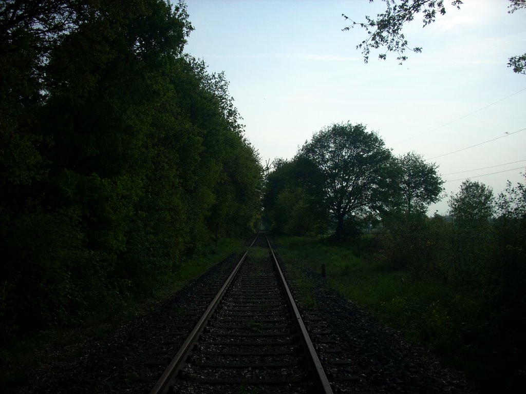 Hervest-Dorsten Bahnstrecke Mai 2009 by DortmundWestfalica