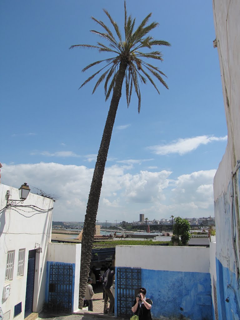 13 Andalusian Gardens, Inside the old city, Rabat, Morocco. by ‫יוסף אבן כסף‬‎