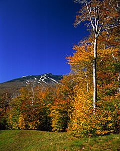 Fall in Stowe by gostowe