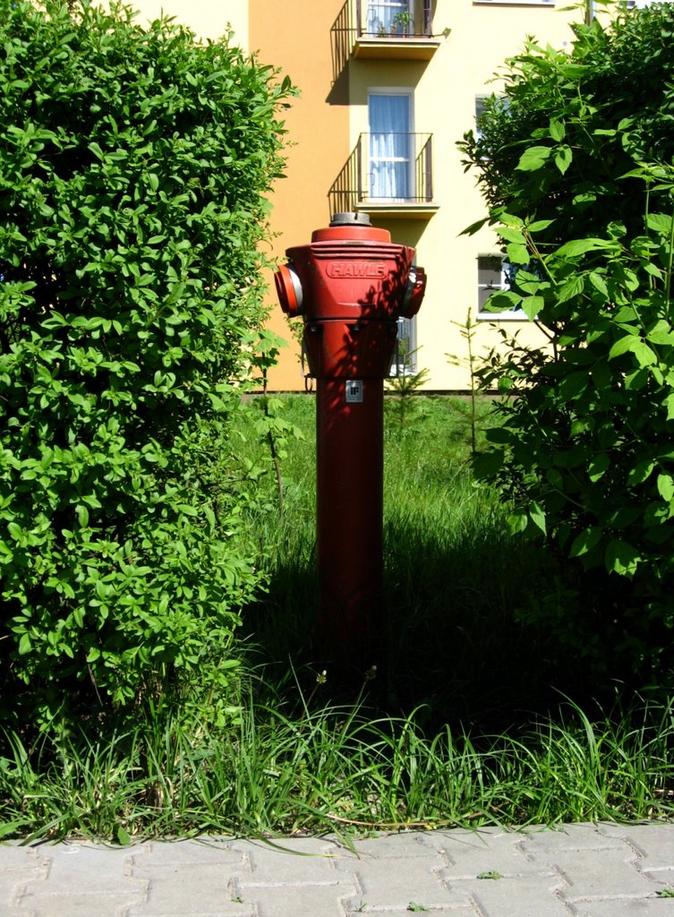 Hydrant z Grunwaldu by Fotospa