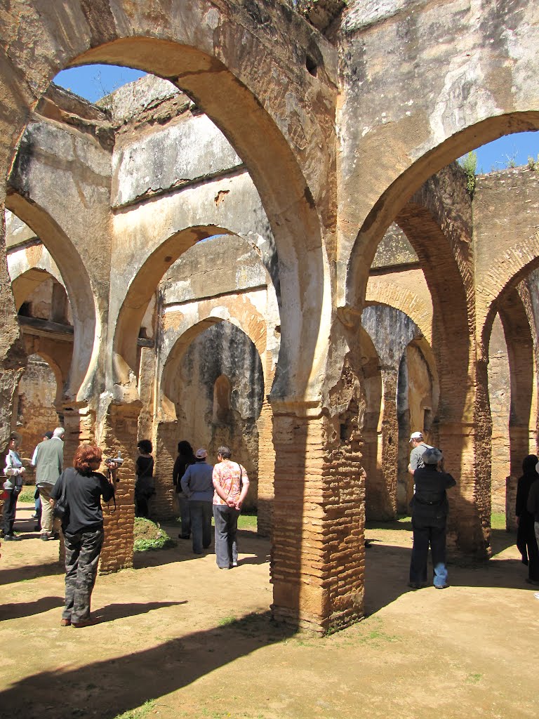 7 The old mosque ruins in Chellah, Rabat, Morocco. by ‫יוסף אבן כסף‬‎