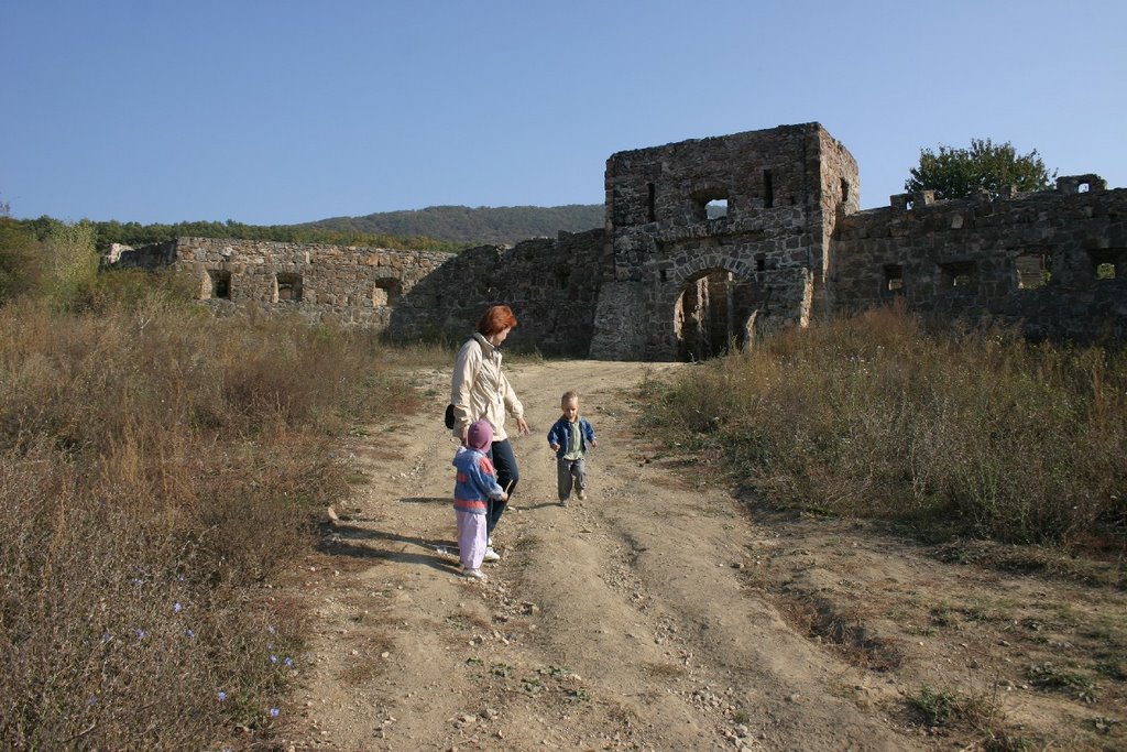 Copy of Fortress Eger, near Pilisborosjenő, Hungary - Pilisborosjeno by MBagyinszky