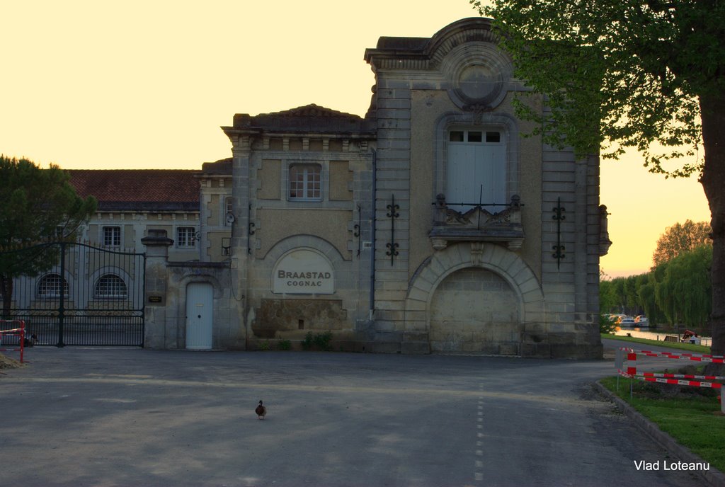 Jarnac: VIP visiting a Cognac House by Vlad Loteanu