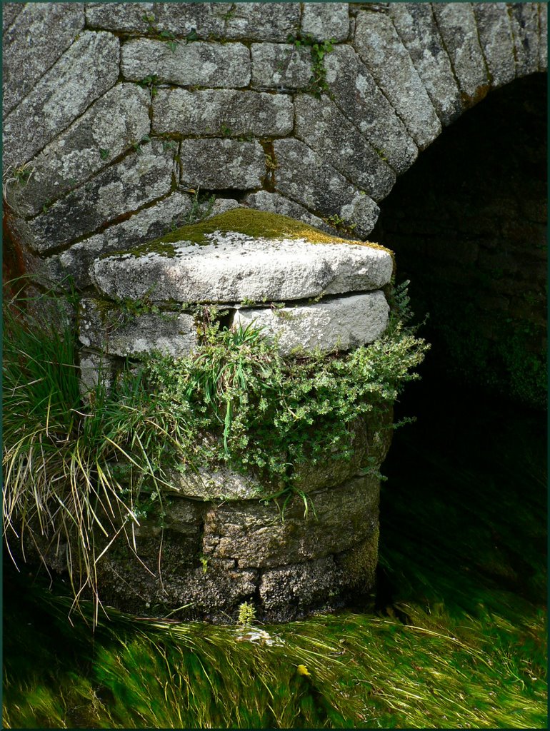 Pont en fleur Commana (29) by Jean-Claude VINCENT