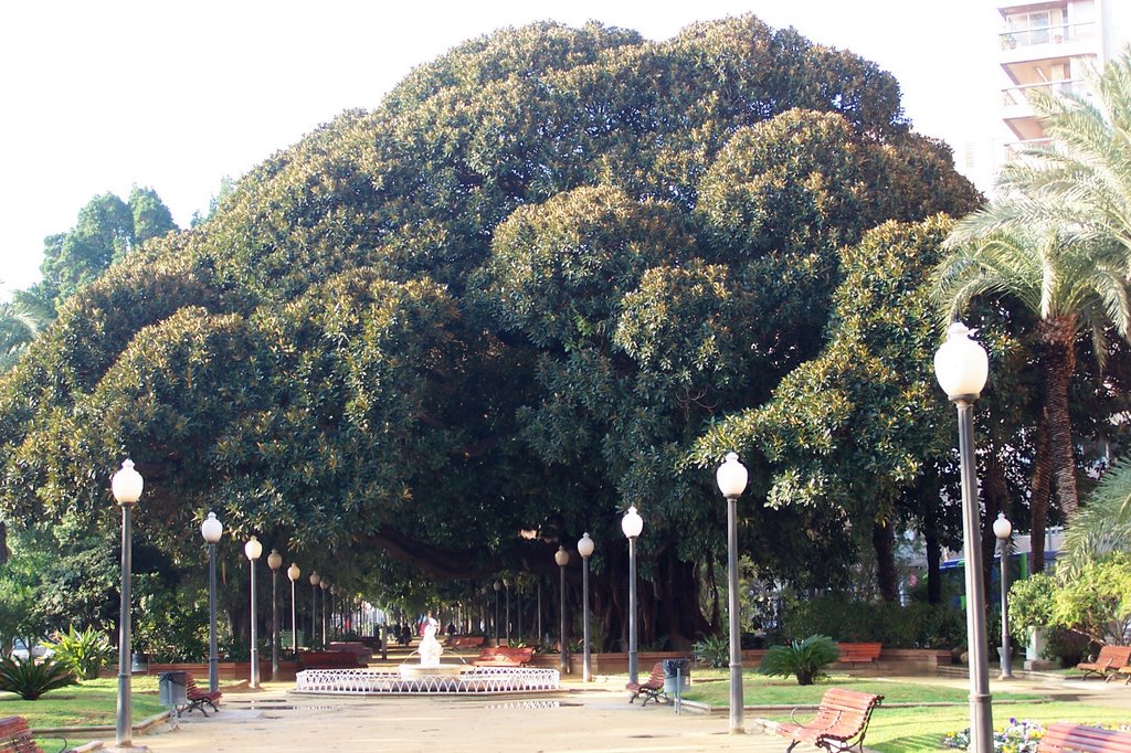 Parque "Canalejas" by tonyapa