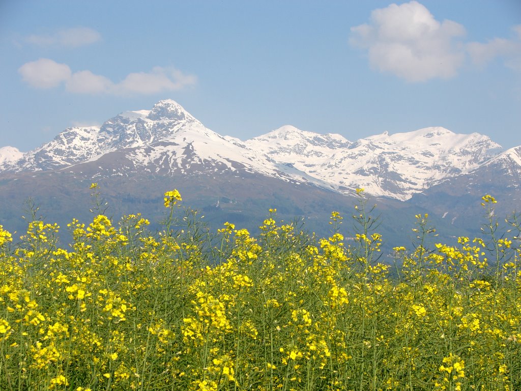 Il Mucrone da Biella by Annamaria Botto