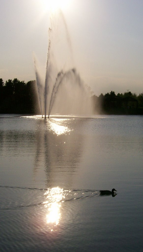 Bird Island Fountain by Leskra