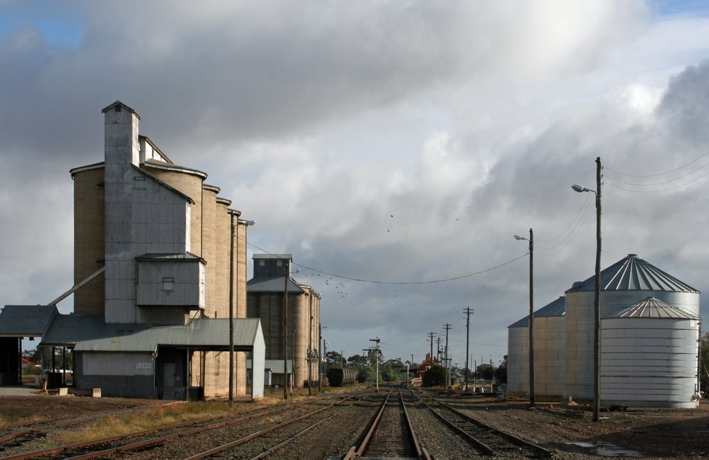 Grain silos Temora by Paul Strasser