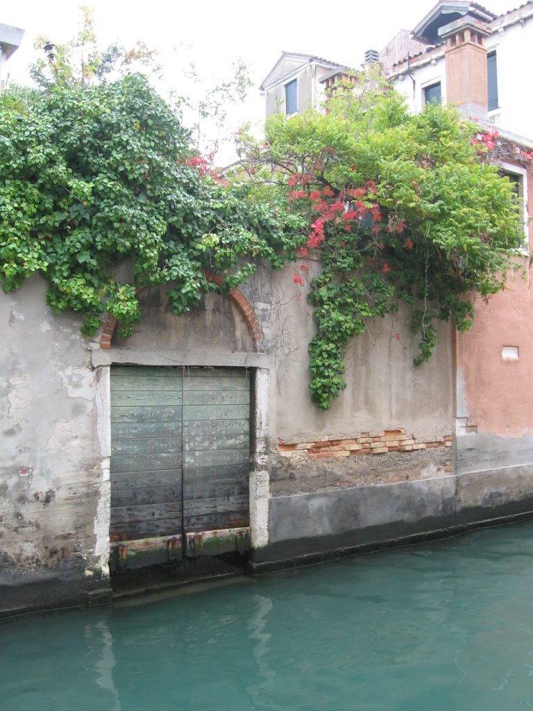 Colourful garden near Ca' Rezzonico by ward callens