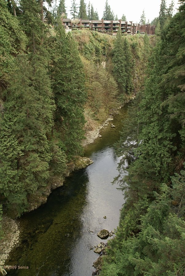 Capilano Bridge. View to the Sauth. by Senia IS