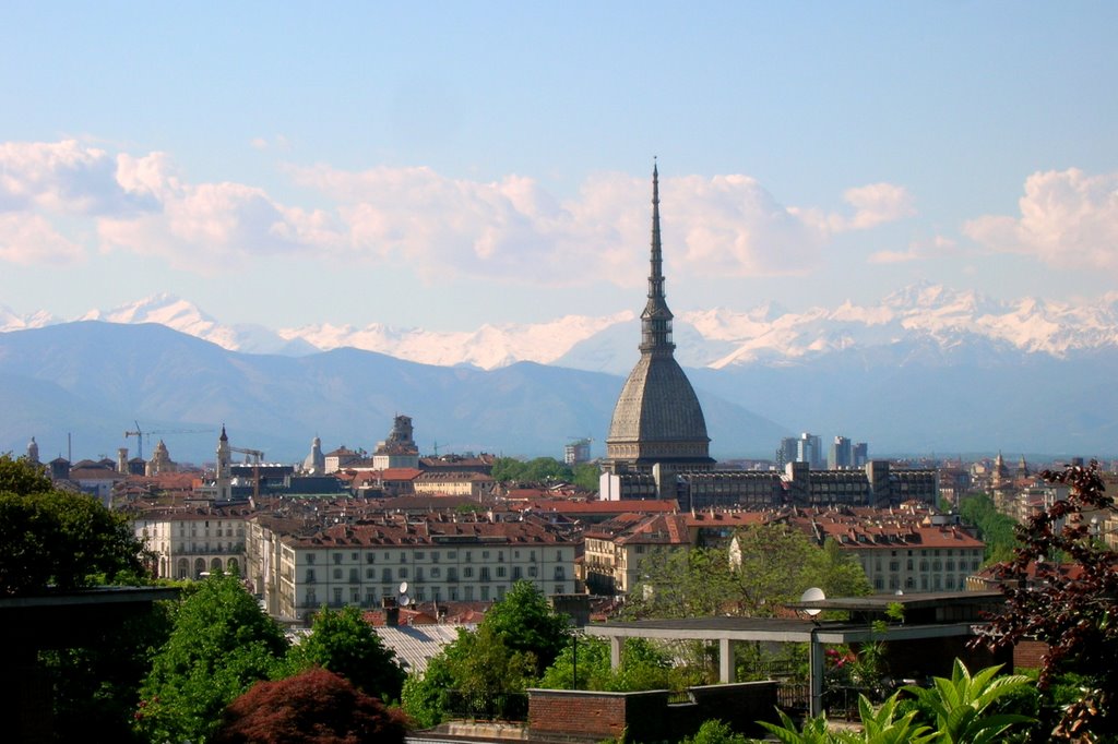 MOLE ANTONELLIANA by piero belforte