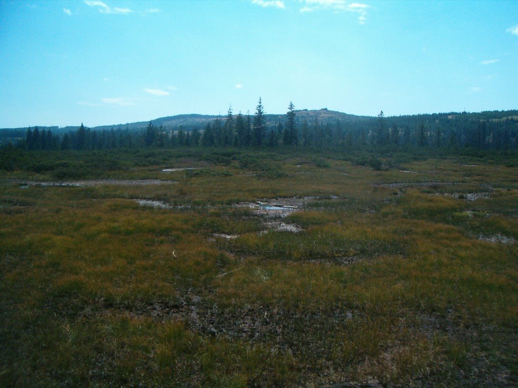 Vrchoviště rašeliniště (Peat bogs) by Jiří Ježek