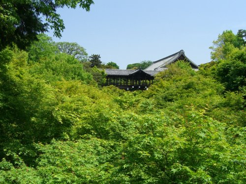 Tofukuji Temple by sonotune