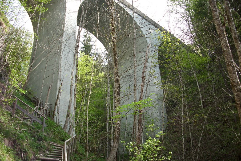 Deutsche Alpenstraße bei Mauthäusl by ischisch