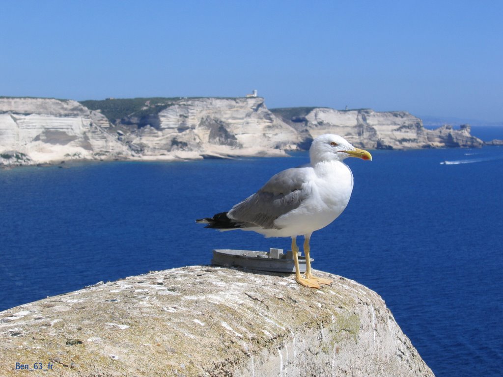 Bonifacio, France by ben_63_fr