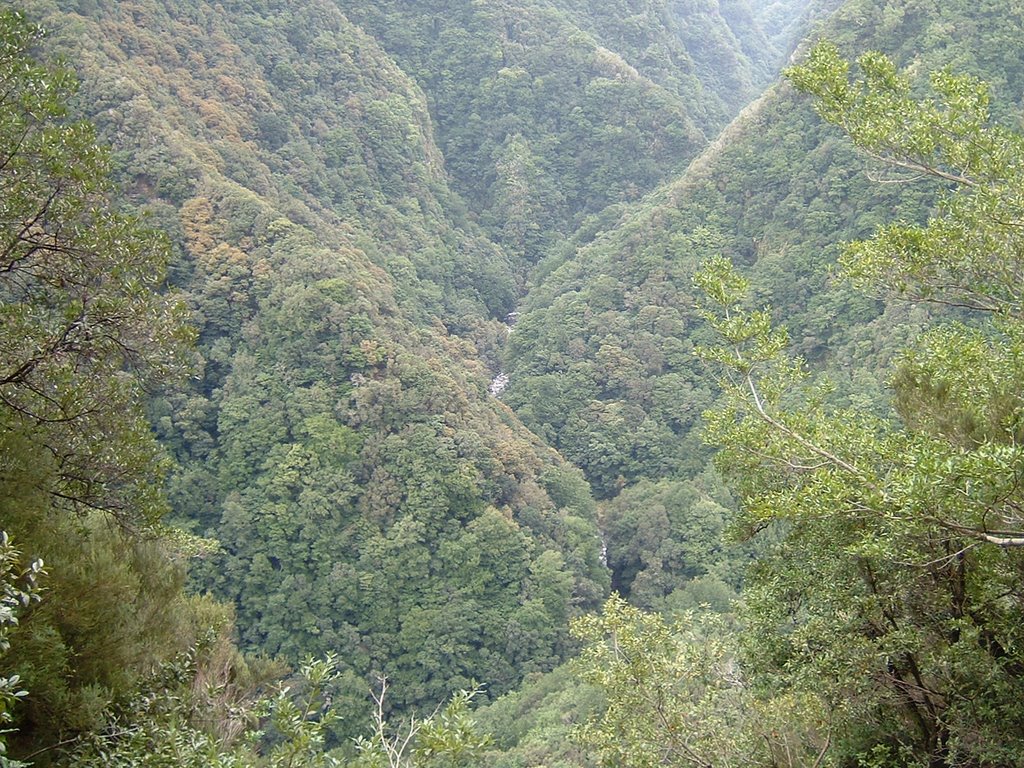 Ribeira da Janela, December 2008 by JirkaN