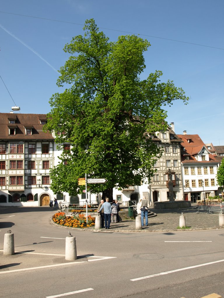 Tree@ St. Gallen (05/2009) by Nils Wanner