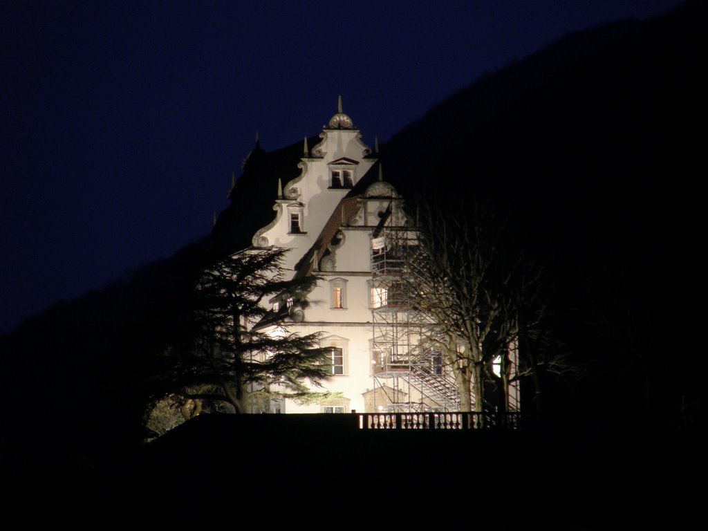 Schloss Kasteln by night by Liselotte Zürcher