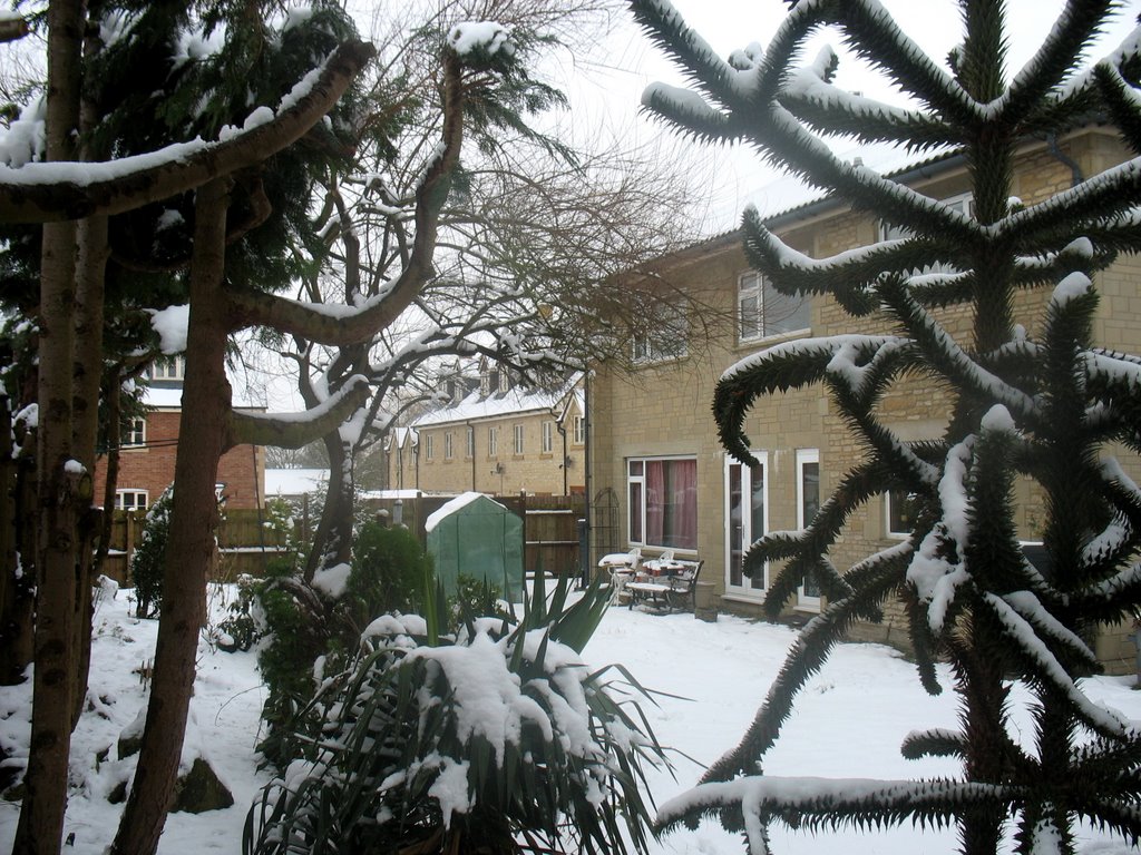 Winter Garden Scene, 114 The Midlands, Holt, Wiltshire by H T W Gay