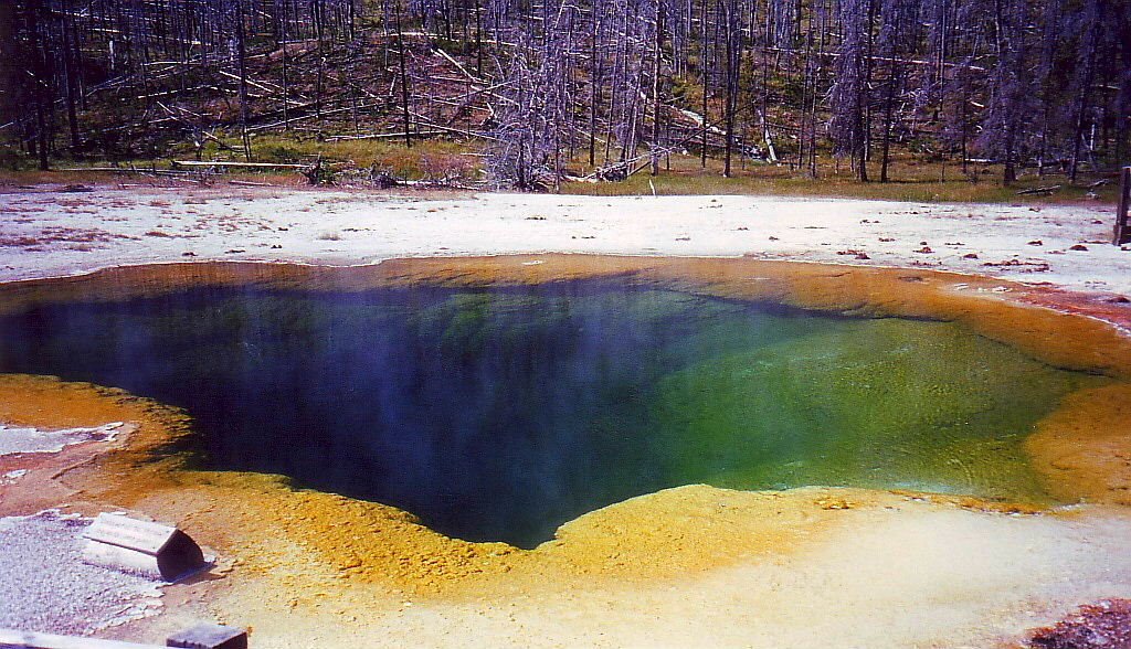 Yellowstone National Park by Haika