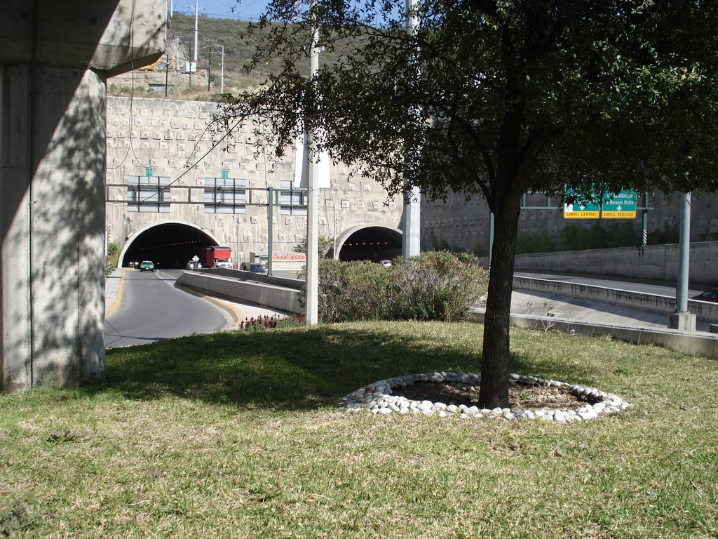 Tunel de la Loma Larga by mike 79