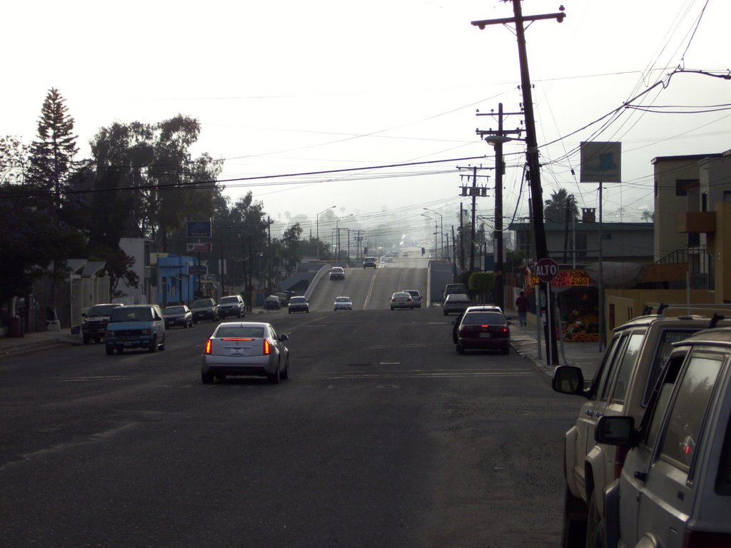 Neblina en la calle 11 by bhth