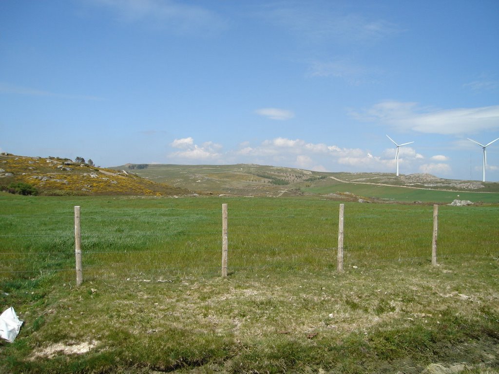 A Lama, Pontevedra, Spain by pedrocb